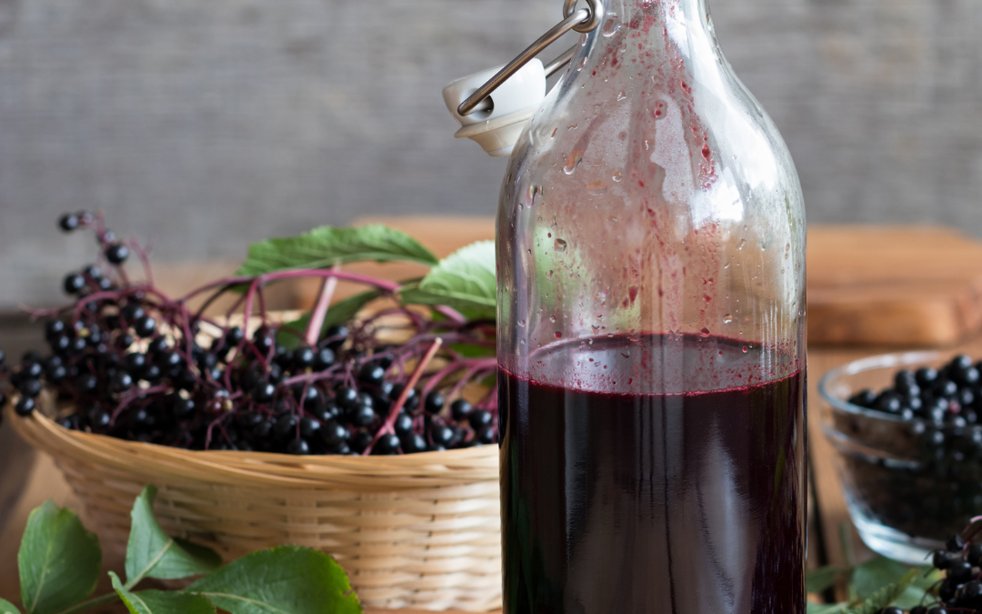 Elderberry Syrup – Yes or No?